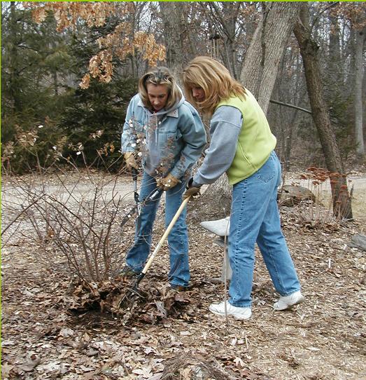 Terri and Janet Raking